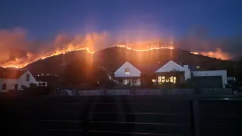 SANParks to reopen fire-affected Table Mountain National Park trails in July SANParks to reopen fire-affected Table Mountain National Park trails in July