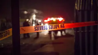 Gauteng remains scarred by violence, but police making progress - GP community safety committee Gauteng remains scarred by violence, but police making progress - GP community safety committee