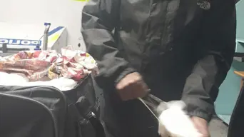 3 drug traffickers intercepted in one week at OR Tambo 3 drug traffickers intercepted in one week at OR Tambo