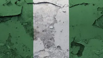 Nigerian troops kill 150 'bandits' in ambush, air strikes Nigerian troops kill 150 'bandits' in ambush, air strikes