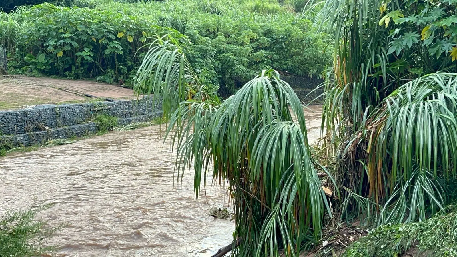 Heavy rains have caused flooding in parts of the eThekwini Metropolitan Municipality on 13 March 2025. Picture: Nhlanhla Mabaso/Eyewitness News Heavy rains have caused flooding in parts of the eThekwini Metropolitan Municipality on 13 March 2025. Picture: Nhlanhla Mabaso/Eyewitness News