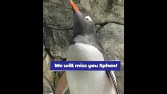 The Holistic Blueprint: A Comprehensive Guide to Lasting Health and Fitness The Holistic Blueprint: A Comprehensive Guide to Lasting Health and Fitness