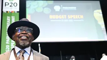 Motion to censure Godongwana over 'mishandling' national budget falls flat Motion to censure Godongwana over 'mishandling' national budget falls flat