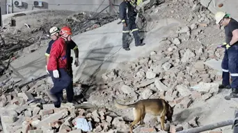 George building collapse: Developer, contractor, engineer at fault - Engineering council George building collapse: Developer, contractor, engineer at fault - Engineering council