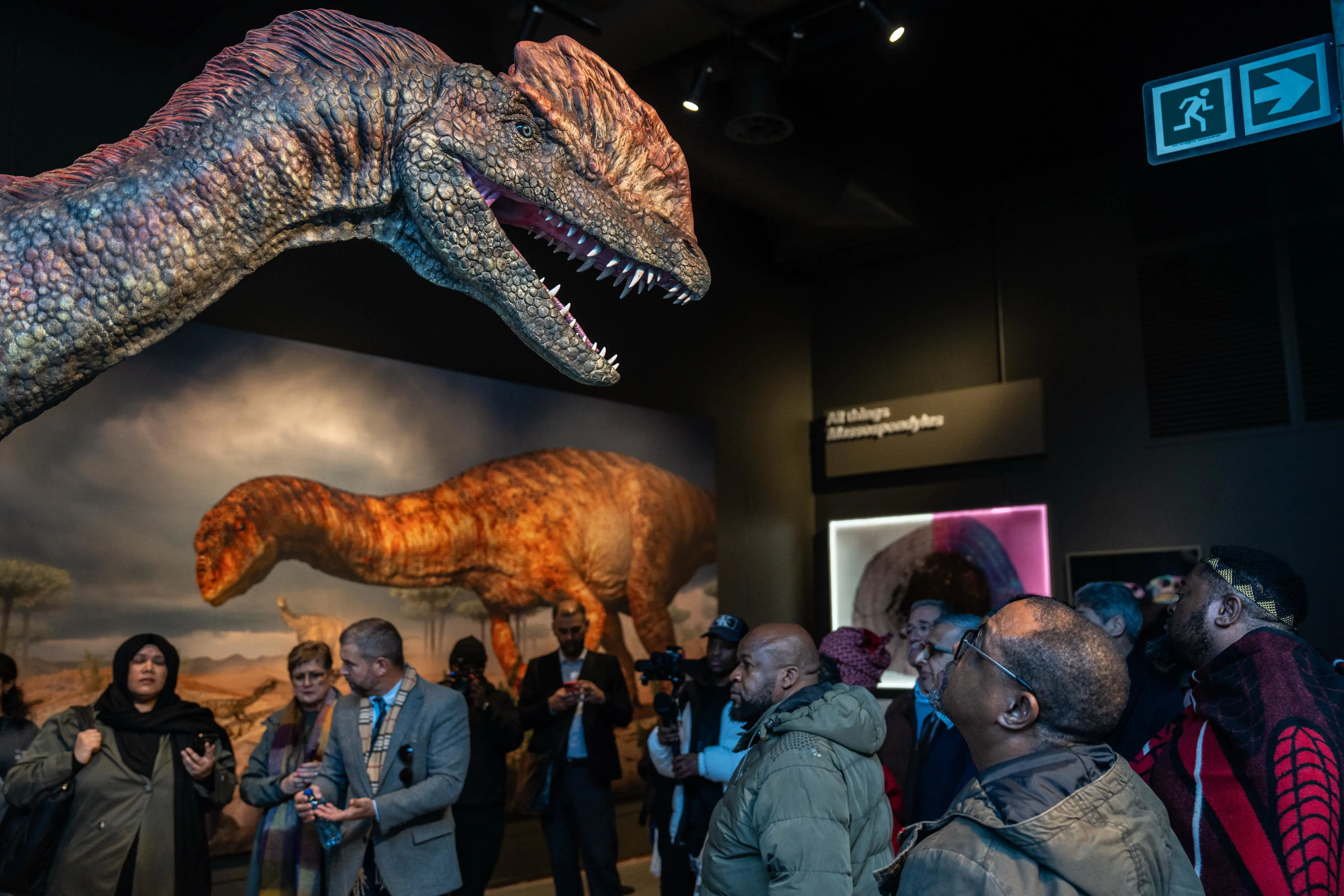 A visitor looks up at a model of Dracovenator regenti, the apex predator of South Africa 200 million years ago on display at the Kgodumodumo Dinosaur Interpretation Centre, located in SANParks’ Golden Gate Highlands National Park in the Free State. Picture: Jacques Nelles/EWN A visitor looks up at a model of Dracovenator regenti, the apex predator of South Africa 200 million years ago on display at the Kgodumodumo Dinosaur Interpretation Centre, located in SANParks’ Golden Gate Highlands National Park in the Free State. Picture: Jacques Nelles/EWN