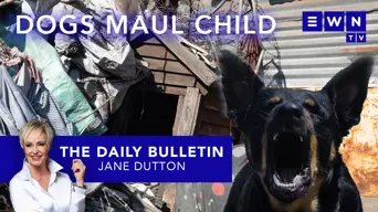 The day that was: MK MP’s Transnet fraud case, dogs fatally maul 3-year-old, DA’s presidential spat The day that was: MK MP’s Transnet fraud case, dogs fatally maul 3-year-old, DA’s presidential spat