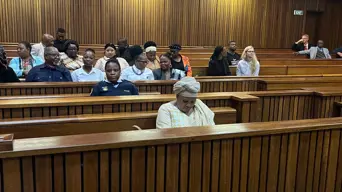 Corruption case against Mapisa-Nqakula still not ready for trial Corruption case against Mapisa-Nqakula still not ready for trial