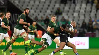 Springboks dream comes true for Congolese refugee Tshituka Springboks dream comes true for Congolese refugee Tshituka