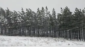 Ramaphosa urges South Africans to exercise caution amid severe weather Ramaphosa urges South Africans to exercise caution amid severe weather