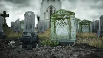 City of Cape Town cautions mourners as rain, cemetery congestion expected this weekend City of Cape Town cautions mourners as rain, cemetery congestion expected this weekend