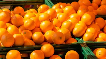 Citrus Growers Association calls on govt to speed up efforts to identify new markets Citrus Growers Association calls on govt to speed up efforts to identify new markets