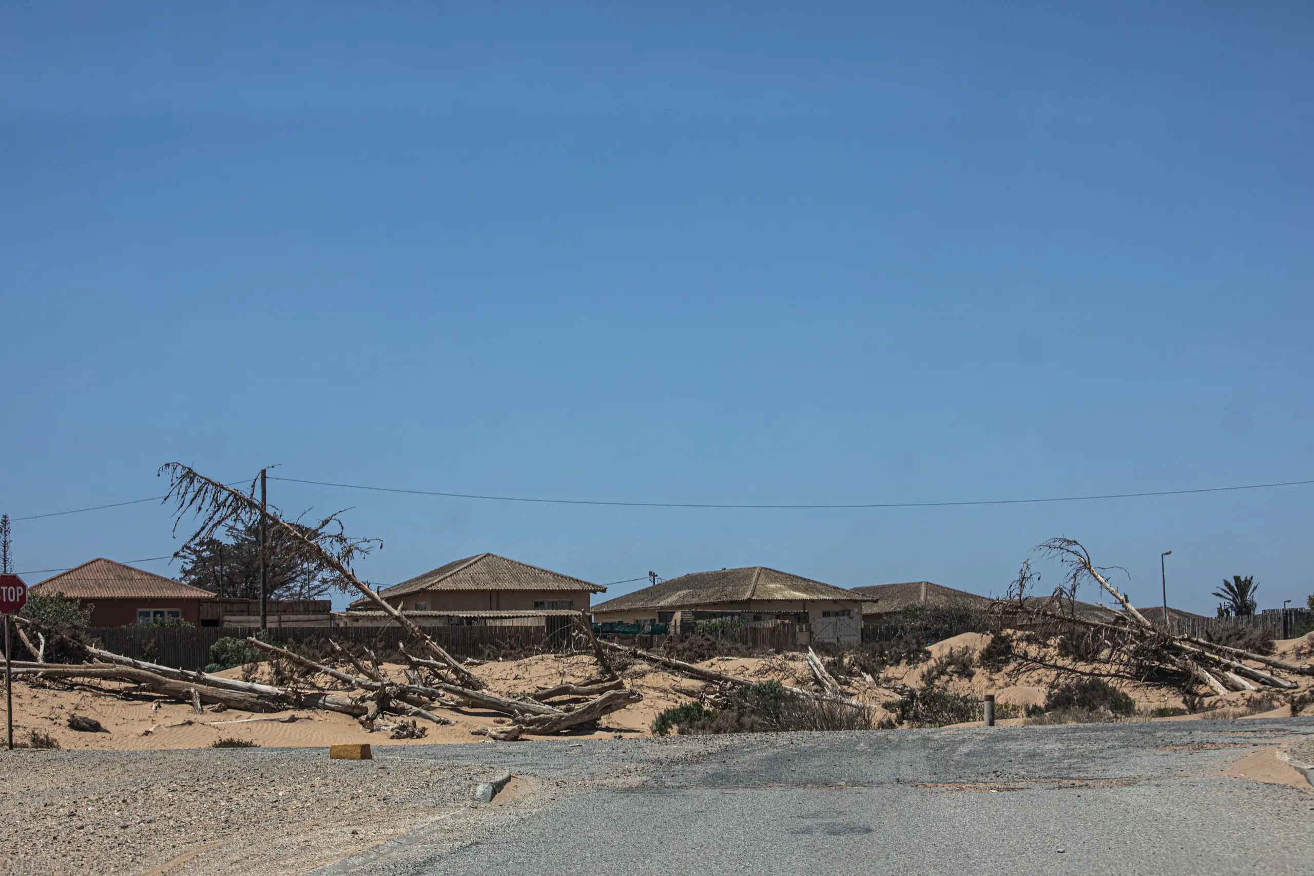 Indigenous plants on the Richtersveld are threatened thanks to succulent theft. Illegal mining also affects the lifespan of fauna in the region. Picture: Kayleen Morgan/Eyewitness News Indigenous plants on the Richtersveld are threatened thanks to succulent theft. Illegal mining also affects the lifespan of fauna in the region. Picture: Kayleen Morgan/Eyewitness News