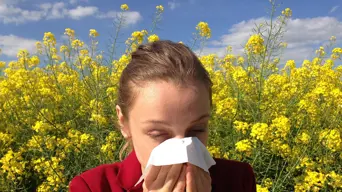 Longer exposure, more pollen: climate change worsens allergies Longer exposure, more pollen: climate change worsens allergies